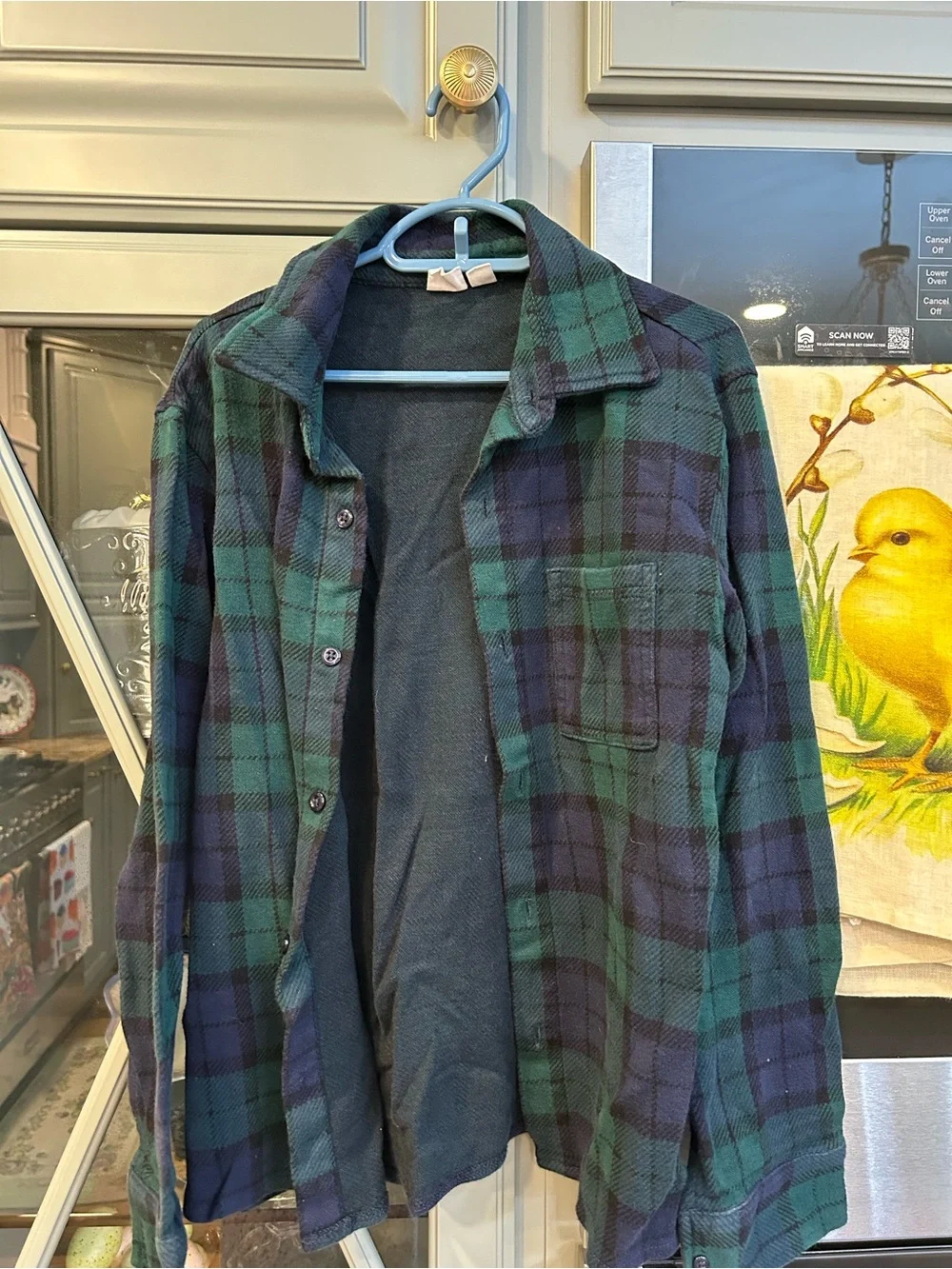 GAP Boys Flannel Hooded Button Up Shirts Size 10